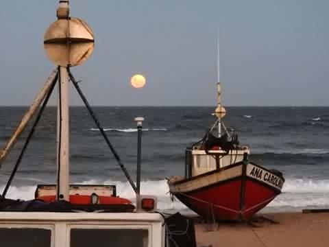 Los Nogales Punta Del Diablo Ngoại thất bức ảnh